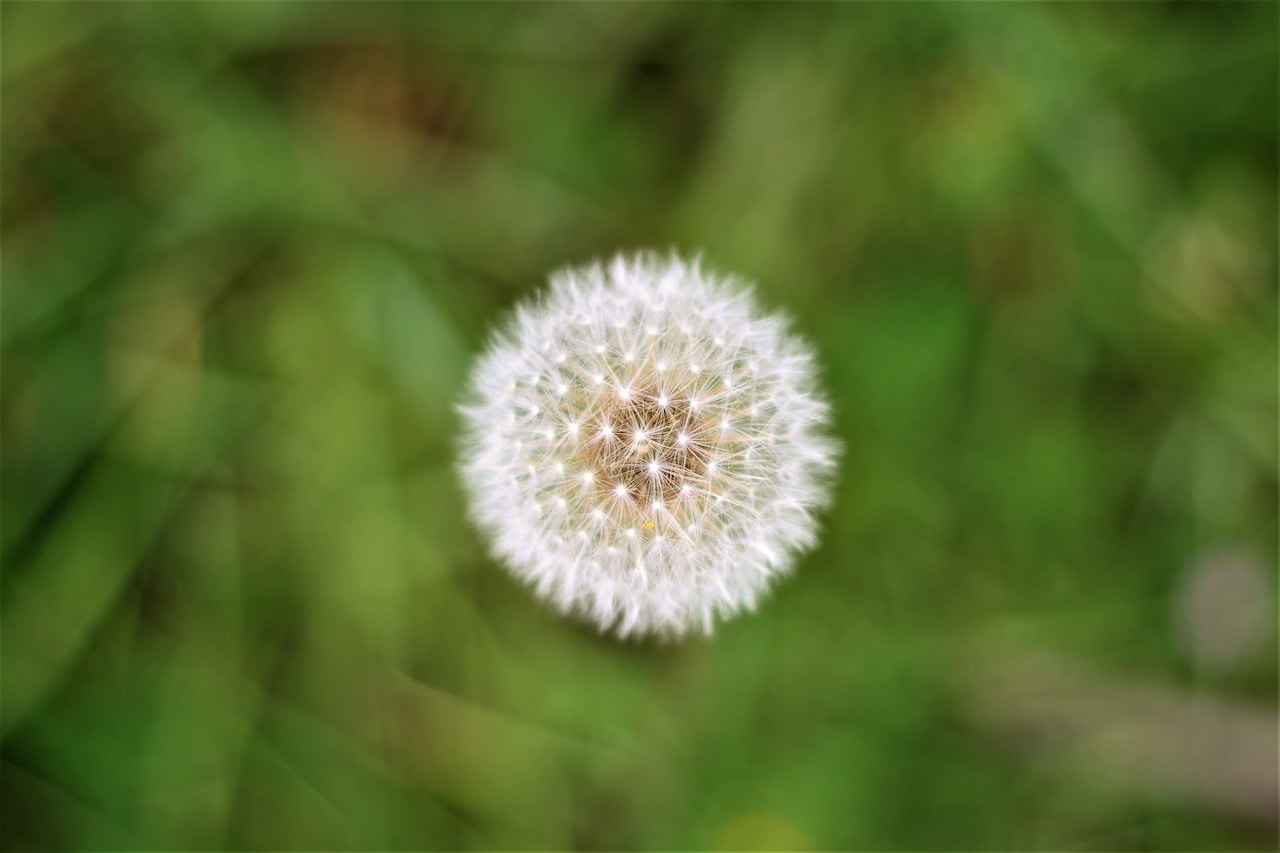 Featured Image
