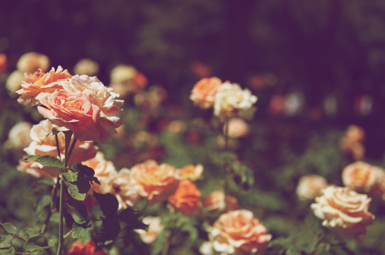 Featured Image