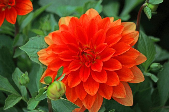 Featured Image
