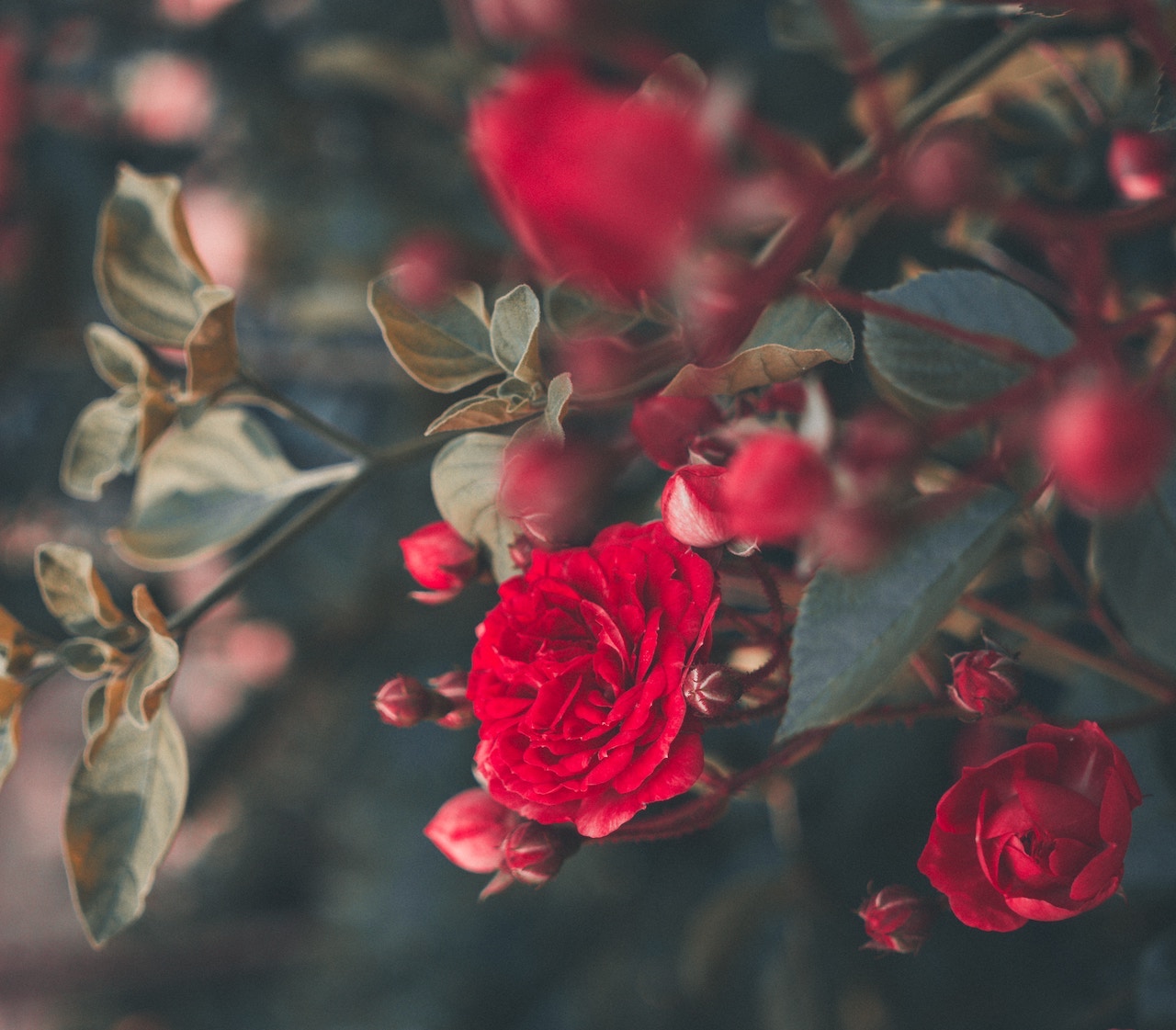 Featured Image